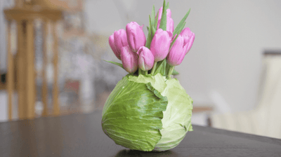 How to Make a Vase from a Cabbage