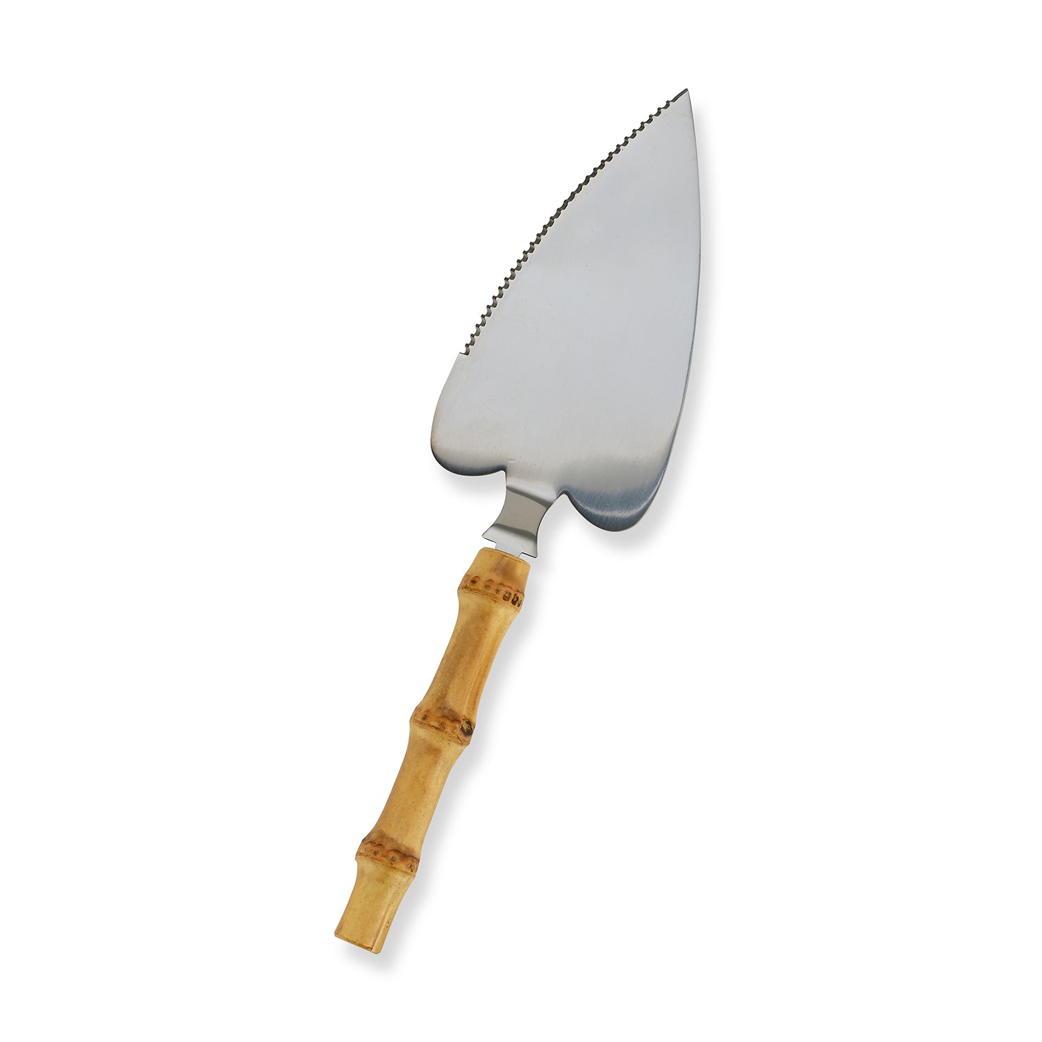 Cake Cutter: Perfect Slices Every Time with Our Top Picks