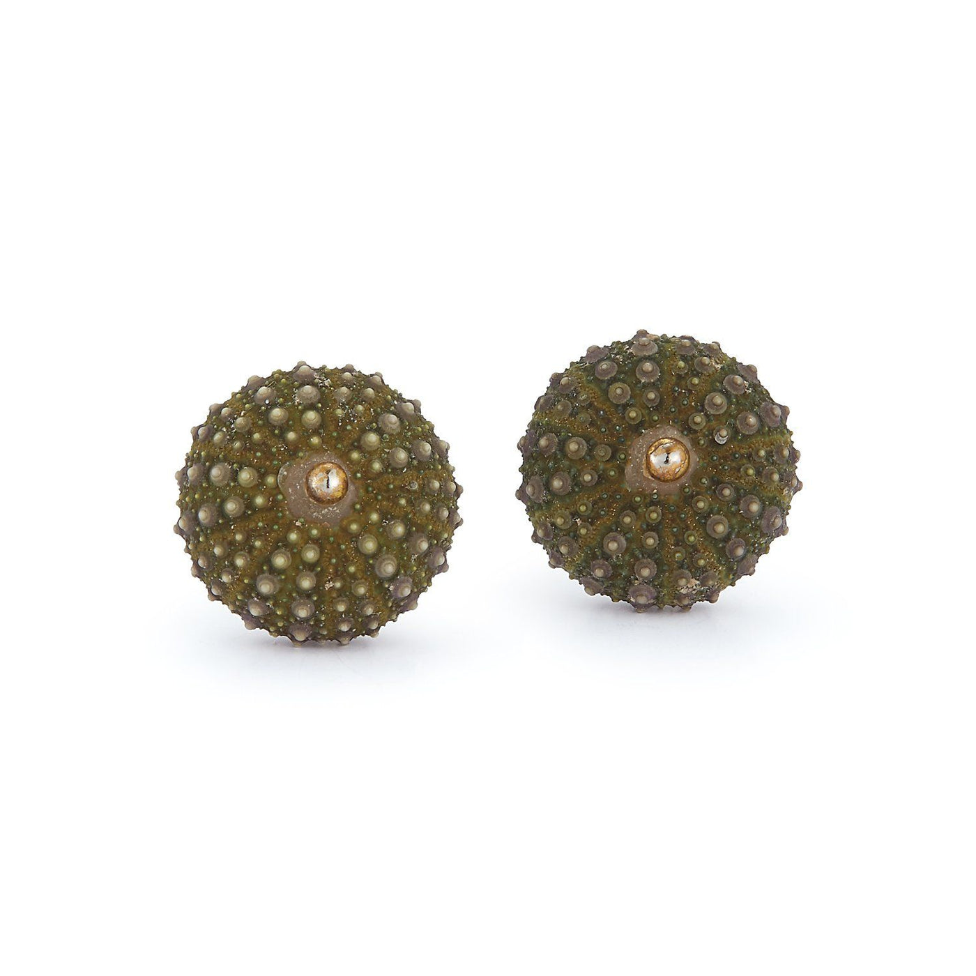 Sea Urchin Earrings - Green Chefanie 